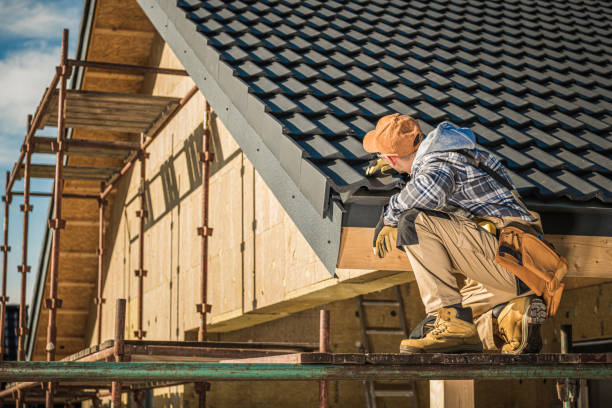 Best Roof Ventilation Installation  in Sells, AZ
