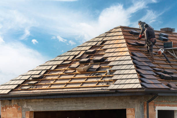 Best Roof Moss and Algae Removal  in Sells, AZ